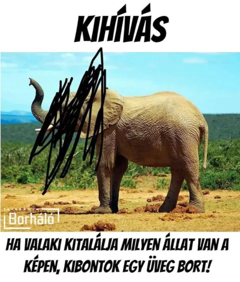 #VK1764334834 #VK1764334834