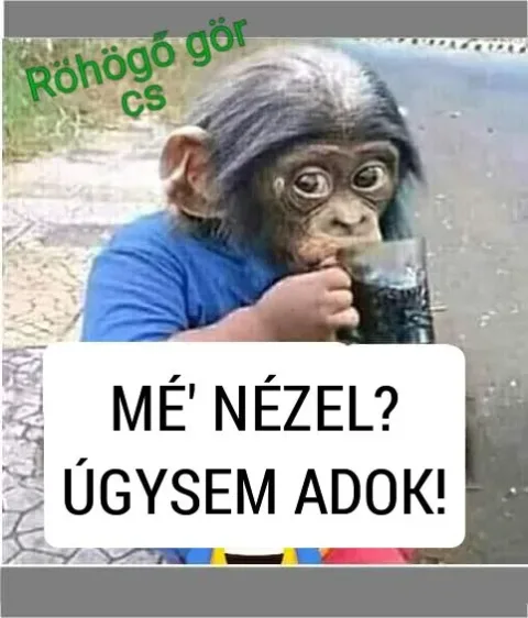 #VK1764482250