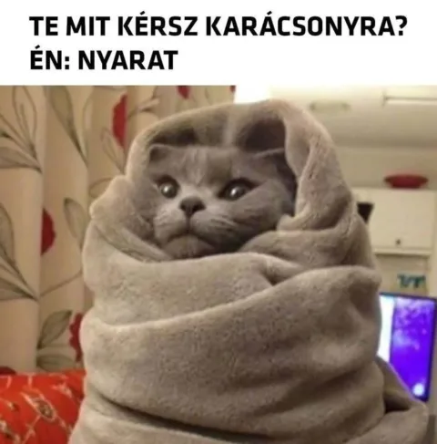 #VK1764502204