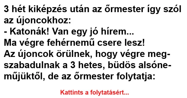 Vicc: 3 hét kiképzés után az őrmester így szól az Vicc: 3 hét kiképzés után az őrmester így szól az újoncokhoz