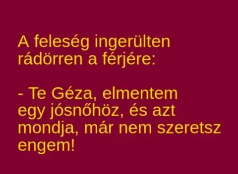 Vicc: A feleség ingerülten rádörren a férjére: - Vicc: A feleség ingerülten rádörren a férjére: –