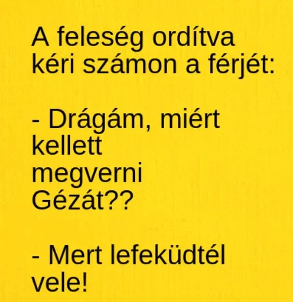 Vicc: A feleség ordítva kéri számon a férjét: - Vicc: A feleség ordítva kéri számon a férjét: –