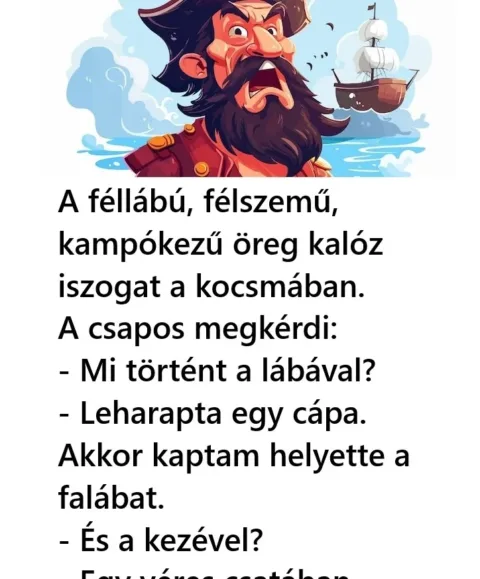 Vicc: A féllábú, félszemű, kampókezű öreg kalóz iszogat