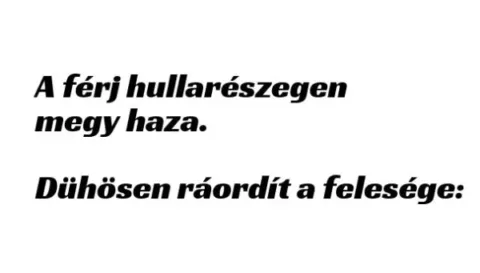 Vicc: A férj hullarészegen megy haza. Dühösen ráordít a felesége: -…