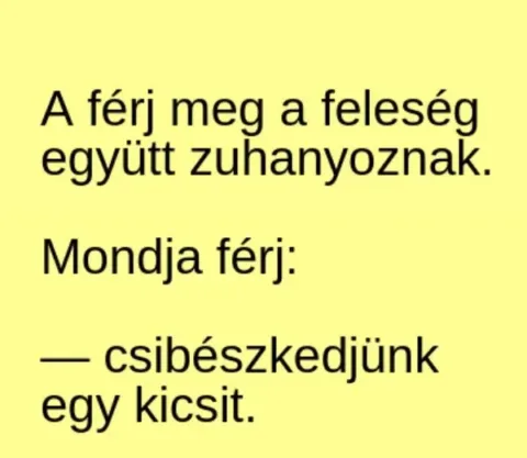 Vicc: A férj meg a feleség zvh@nyoznak - Vicc: A férj meg a feleség zvh@nyoznak –