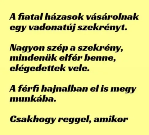 Vicc: A fiatal házasok vásárolnak egy vadonatúj szekrényt