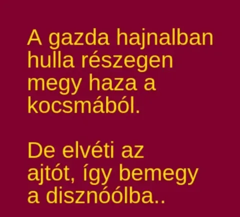 Vicc: A gazda hajnalban hulla részegen megy haza a kocsmából –