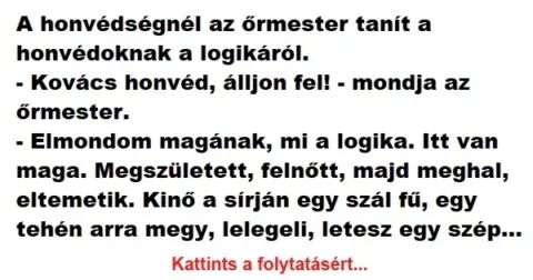 Vicc: A honvédségnél az őrmester tanít a honvédoknak a logikáról.