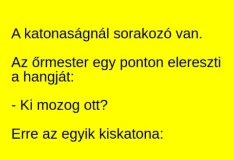 Vicc: A katonaságnál sorakozó van. Az őrmester egy ponton elereszti a hangját: -…