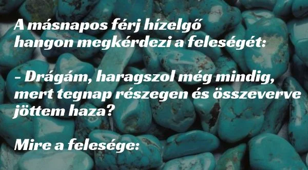 Vicc: A másnapos férj hízelgő hangon megkérdezi a feleségét: Vicc: A másnapos férj hízelgő hangon megkérdezi a feleségét: