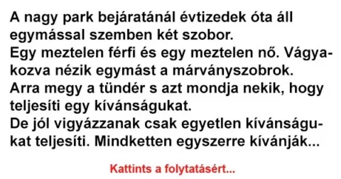 Vicc: A nagy park bejáratánál évtizedek óta áll egymással szemben két szobor