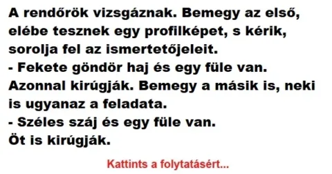 Vicc: A rendőrök vizsgáznak