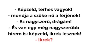 Vicc: A szőke nő ikreket vár