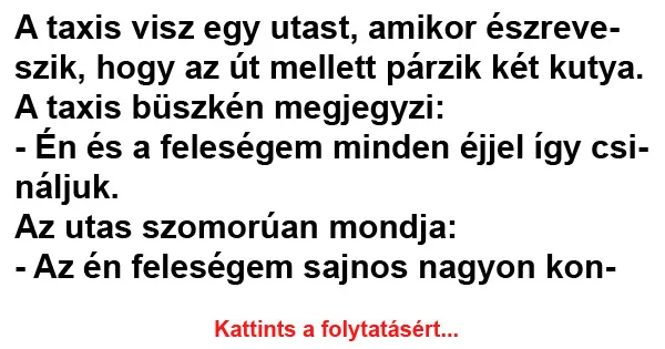 Vicc: A taxis visz egy utast, amikor észreveszik, hogy az Vicc: A taxis visz egy utast, amikor észreveszik, hogy az út mellett párzik…