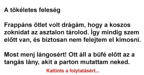 Vicc: A tökéletes feleség