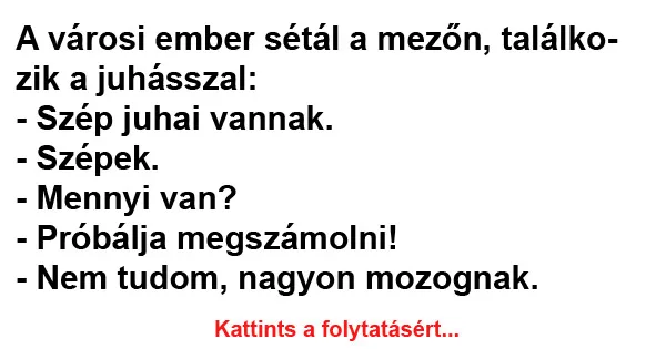 Vicc: A városi ember sétál a mezőn, találkozik a juhásszal Vicc: A városi ember sétál a mezőn, találkozik a juhásszal