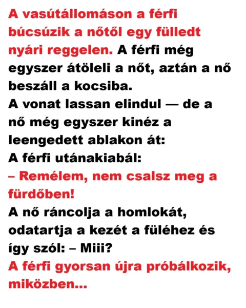 Vicc: A vasútállomáson a férfi búcsúzik a nőtől