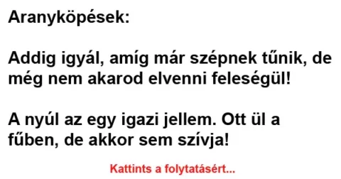 Vicc: Aranyköpések