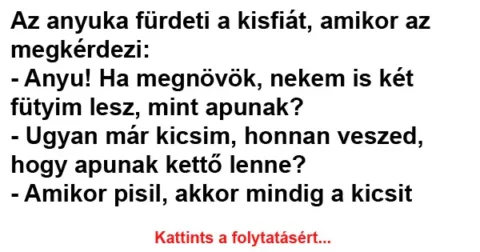Vicc: Az anyuka fürdeti a kisfiát, amikor az megkérdezi