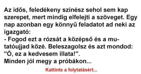 Vicc: Az idős, feledékeny színész sehol sem kap szerepet