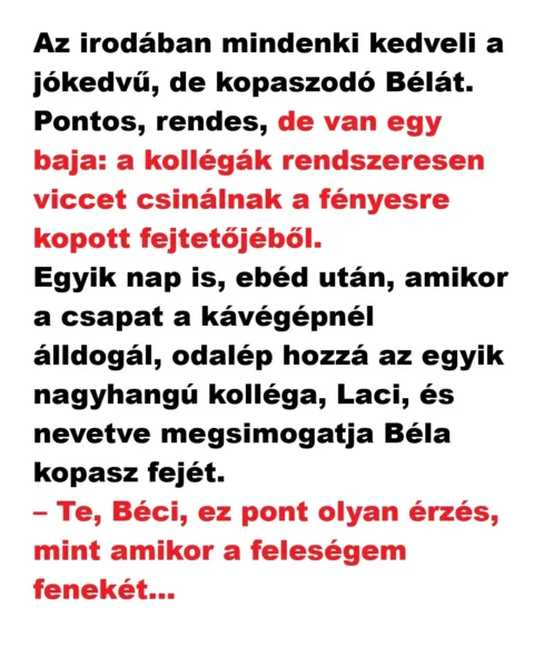 Vicc: Az irodában mindenki kedveli a jókedvű, de kopaszodó Bélát Vicc: Az irodában mindenki kedveli a jókedvű, de kopaszodó Bélát