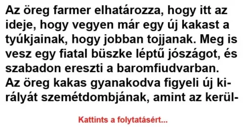 Vicc: Az öreg farmer elhatározza