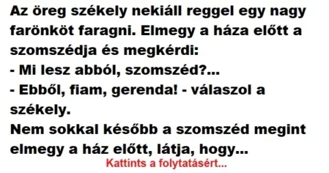 Vicc: Az öreg székely nekiáll reggel egy nagy farönköt faragni