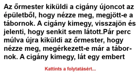 Vicc: Az őrmester kiküldi a cigány újoncot az épületből