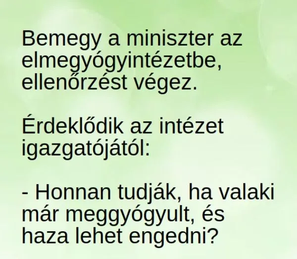 Vicc: Bemegy a miniszter az elmegyógyintézetbe - Vicc: Bemegy a miniszter az elmegyógyintézetbe –