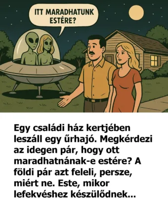 Vicc: Egy családi ház kertjében leszáll egy űrhajó Vicc: Egy családi ház kertjében leszáll egy űrhajó