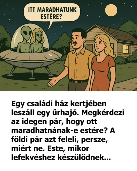 Vicc: Egy családi ház kertjében leszáll egy űrhajó