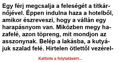 Vicc: Egy férj megcsalja a feleségét a titkárnőjével