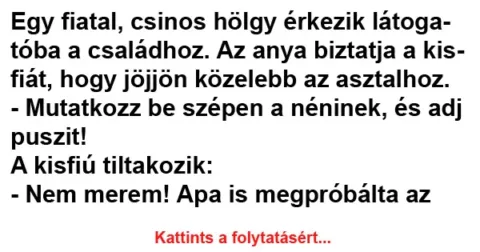 Vicc: Egy fiatal, csinos hölgy érkezik látogatóba a családhoz