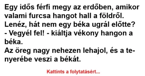 Vicc: Egy idős férfi megy az erdőben