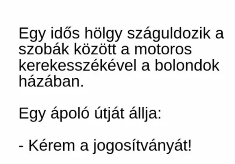 Vicc: Egy idős hölgy száguldozik a szobák között a motoros kerekesszékével a…