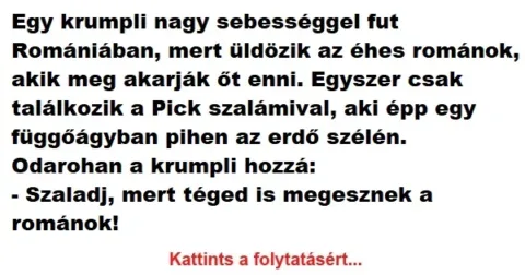 Vicc: Egy krumpli nagy sebességgel fut
