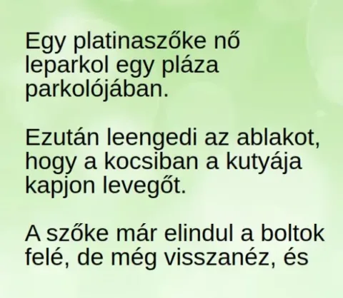 Vicc: Egy platinaszőke nő leparkol egy pláza parkolójában