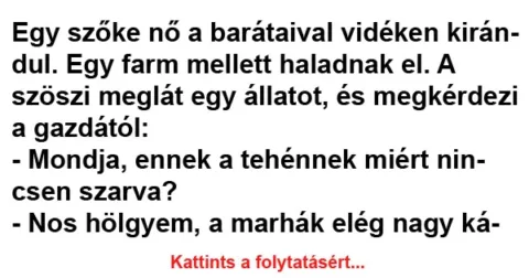 Vicc: Egy szőke nő a barátaival vidéken kirándul