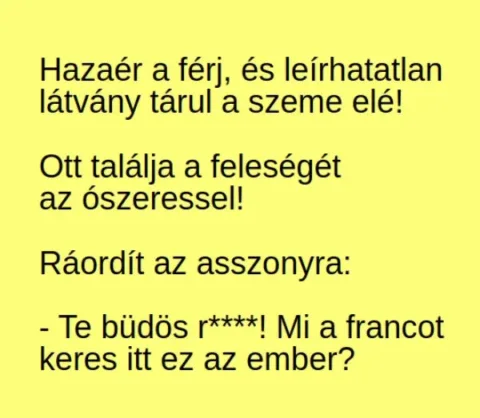 Vicc: Hazaér a férj, és leírhatatlan látvány tárul a szeme elé