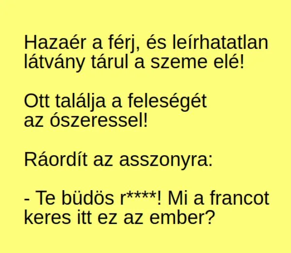 Vicc: Hazaér a férj, és leírhatatlan látvány tárul a szeme Vicc: Hazaér a férj, és leírhatatlan látvány tárul a szeme elé