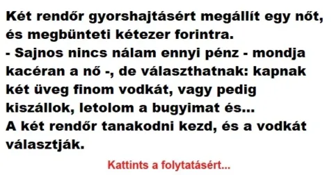 Vicc: Két rendőr gyorshajtásért megállít egy nőt