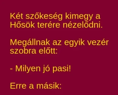 Vicc: Két szőkeség kimegy a Hősök terére nézelődni –