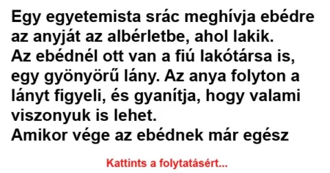 Vicc: Meghívja ebédre az anyját az albérletbe, ahol lakik