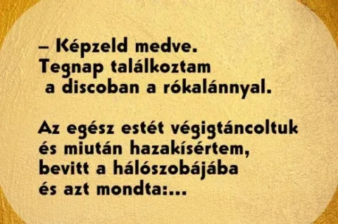 Vicc: Nyuszika találkozik az erdőben a medvével