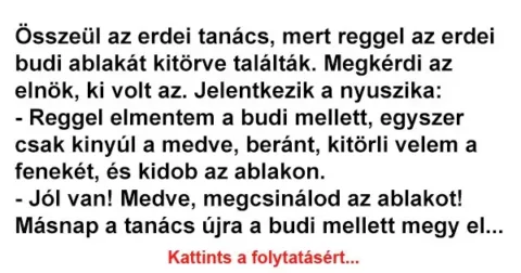 Vicc: Összeül az erdei tanács, mert reggel az erdei budi ablakát kitörve…