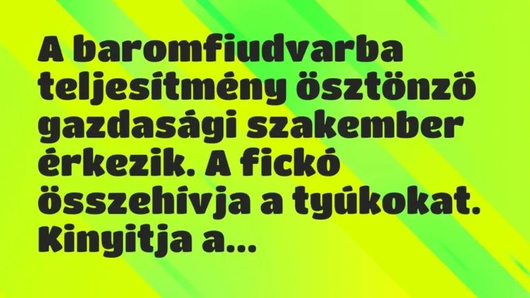 Vicc: A baromfiudvarba teljesítmény ösztönző gazdasági szakember érkezik. A fickó… Vicc: A baromfiudvarba teljesítmény ösztönző gazdasági szakember érkezik. A fickó…