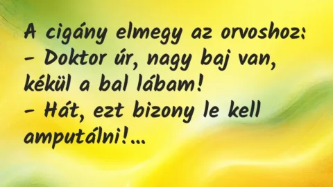 Vicc: A cigány elmegy az orvoshoz:

– Doktor úr, nagy baj van, kékül a…