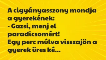 Vicc: A cigyányasszony mondja a gyerekének:
– Gazsi, menj el… Vicc: A cigyányasszony mondja a gyerekének:
– Gazsi, menj el…