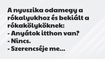 Vicc: A nyuszika odamegy a rókalyukhoz és bekiált a rókakölyköknek: – A…
