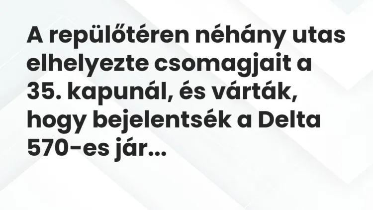 Vicc: A repülőtéren néhány utas elhelyezte csomagjait a 35. kapunál, és várták, hogy… Vicc: A repülőtéren néhány utas elhelyezte csomagjait a 35. kapunál, és várták, hogy…